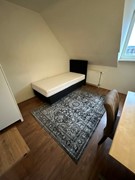 Lijmbeekstraat 245K08, 5612 NE Eindhoven - room 8 1.jpg